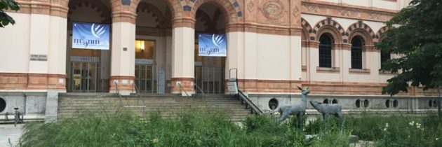 Milano – Museo di Storia Naturale – Giovedì scientifici