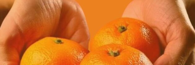 Clementine Anti Violenza – 2024